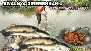 AWALNYA DIREMEHKAN... TERNYATA SARANGNYA IKAN || MASAK MAKAN BERSAMA ANAK ISTRI