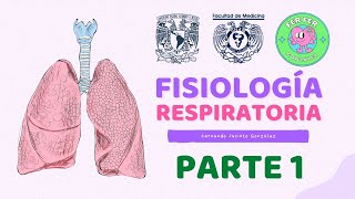 VENTILACIÓN PULMONAR - Fisiología respiratoria - PARTE 1