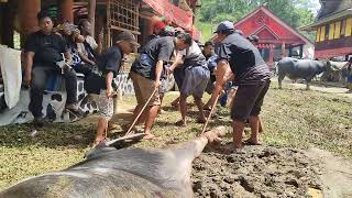 Rambu Solo' Nek Ganti Nanggala09