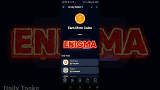 Rocky Rabbit | Superset | Enigma | Easter Egg | AUGUST 30, 2024