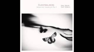 Sleepwalkers No.2 | Salar Niknafs & Geoff Williams (experimental noise drone guitar)