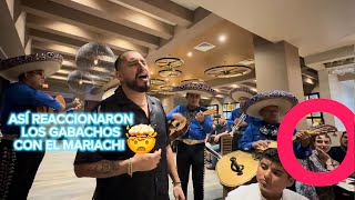 Así reaccionaron los GABACHOS cuando escucharon el MARIACHI 🤯