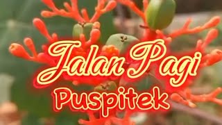 Jalan pagi di puspitek #brin #jalanpagi  #puspitek #tangsellife #tangsel #bsd