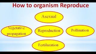 Reproduction | Important Definitions of Biology for 10th Class Students How do organism Reproduce