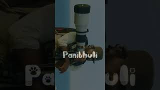 Photography WhatsApp status tamil|#photography lover || photography short.# photography life style 📸