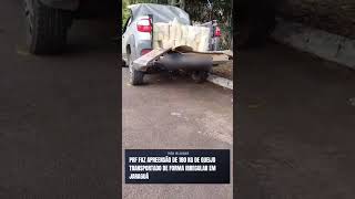 PRF faz apreensão de 180 kg de queijo transportado de forma irregular em Jaraguá