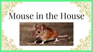 Mouse in the House - Learn English through Story