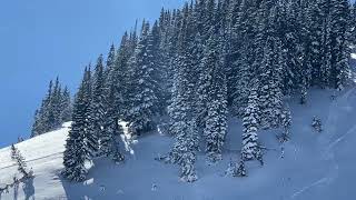 Backcountry Pow Skiing in Colorado 10/30/23