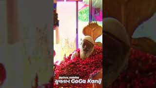 SULTAN GOGA KANIJ | MAHI-GOGA DHAM KANIJ | #PRINCEVADALIAA #Gogamaharaj