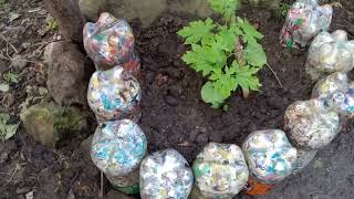 Paano gumawa Ng plants box using bottle