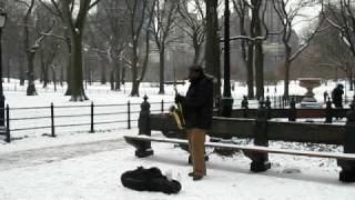 Musician at Central Park