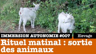 Immersion Autonomie : comment je gère le petit élevage des animaux à la ferme ? (partie 1/3)