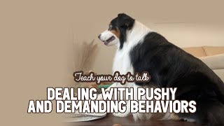 Teach Your Dog To Talk | Dealing With Pushy and Demanding Behaviors