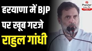 Haryana में BJP पर खूब गरजे Rahul Gandhi बोले - “जंगल में शेर अकेला मिलता है….” | Election 2024