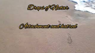 Drops of Nectar_Attachment and hatred #philosophy #process #wisdom #attachment #hatred #ancient #bel