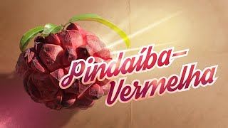 Frutas do CERRADO: ARATICUM VERMELHO ou PINDAÍBA