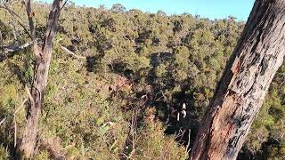 Mackenzie Fall Halls Gap Ararat