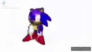 SONIC THE HEGDERRHDGGF