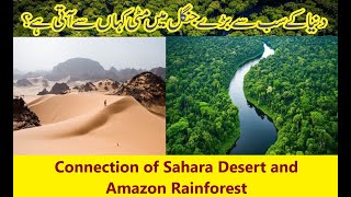 Sahara Desert Aur Amazon Jungle Ki Heeran Karni Wali Bateen | Sahara Desert and Amazon Connection