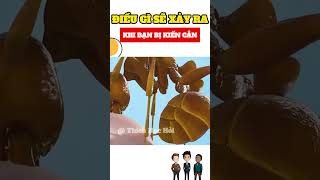 Khi kiến cắn bạn điều gì xảy ra #trending #tintuc #khampha #giaitri #funny #yeah #reviewphim