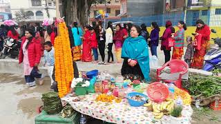 Koteswor MAHADEVSTHAN ma Shivaratri special