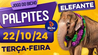 PALPITE DO DIA 22/01/2024 - JOGO DO BICHO 🍀 TODAS AS LOTERIAS 🍀