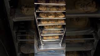 Chocolate cookies baking in oven