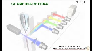 Citometria de Fluxo PARTE II