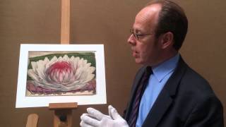 Carl Ulke (1791-1882): Study of a Water Lily [Victoria Regia]