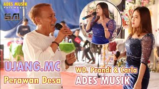 UJANG MC.  " PERAWAN DESA  " OM ADES MUSIK WD PRANDI & CARLA DAYUNG 23 09 24