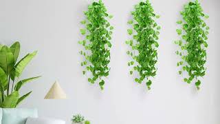 Weird Wolf Home Decor Artificial Money Plant for Decoration | Wall Hanging Bail | Pack of 12