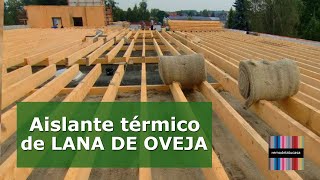 LANA DE OVEJA como AISLANTE TÉRMICO | Sustentabilidad