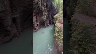 Sensasi Gelantungan Tarzan #shortvideo