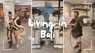 LIVING IN BALI | A day in my life 🐣