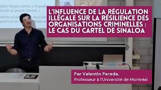 L’influence de la régulation illégale sur la résilience des organisations criminelles par V. Pereda