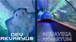 YILANLARIN ARASINDA KALDIK ! AQUAVEGA AKVARYUM | DEV AKVARYUM GEZİSİ #aquavega #aquarium