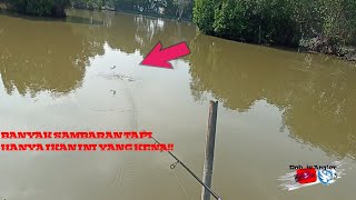 Mancing Casting Di Tambak Sedari Karawang||ULTRA LIGHT CASTING||RN CAPUNG 702