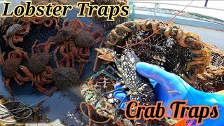 Pulling Lobster Traps Out At Sea