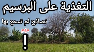 نصائح مهمة للغاية ..حول.. ( تغذية الحيوان على البرسيم)..☘️