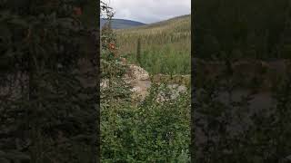 Yukon gold mining 2- Disregard for nature August 2022