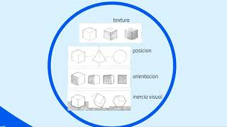 Propiedades visuales de la Forma