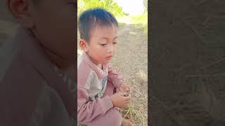 suasana di tengah sawah sejuk adem , semilir angin nya #brebes