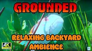 "Relaxing Grounded Game Ambience: Soothing Sounds of Fish and Bugs in the Backyard"