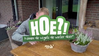 Hoe komen vogels de winter door? | HOE?! | Welkoop