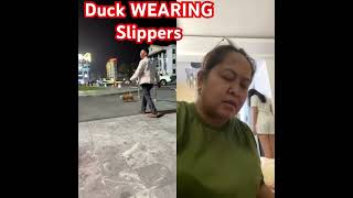 A duck wearing slippers #shorts #crazy #random