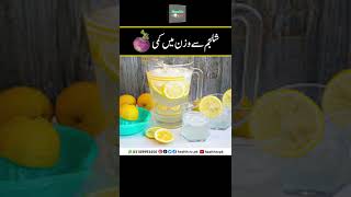 shljam se wazin min kami | Weight loss with turnips | شلجم سے وزن میں کمی | Urdu Hindi Health TV