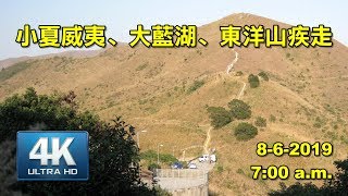 《養命走》東洋山來回疾走【4K】