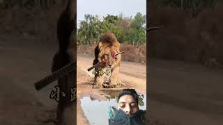 OMG Ye kya #lion #water #subscribe #comedy #love #drink #river #shorts