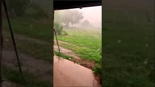 🌩️ Heavy 🌨️ Hailstorm 🌩️ and 🌨️ Lightning 🌩️     #shorts #shortsfeed #viral #thunderstorm #lightning