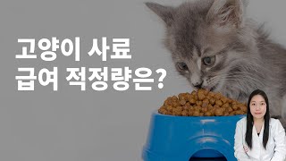 고양이 사료 적정량이 궁금해요 ! - 급여량 계산부터 올바른 급여법까지